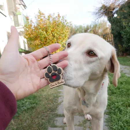 Casa Di Bimba Prázdninový dům Quarto (Asti)