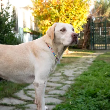 Casa Di Bimba Prázdninový dům *