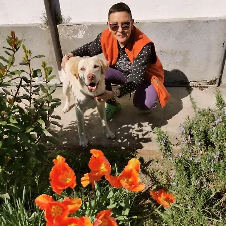 Casa Di Bimba 펜션 Quarto (Asti)