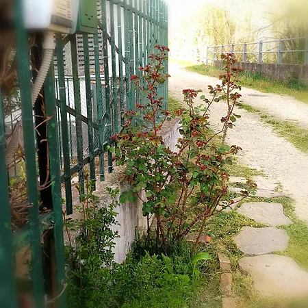 Casa Di Bimba 펜션 Quarto (Asti)