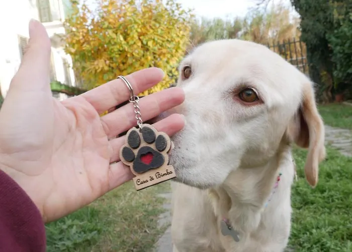 Casa Di Bimba 別荘 Quarto