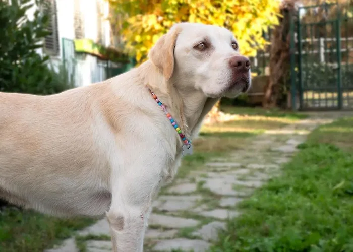 Casa Di Bimba Semesterbostad *