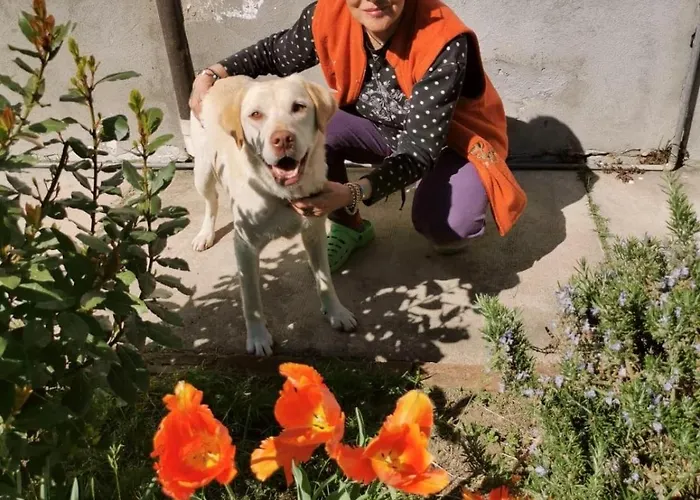 Casa Di Bimba Semesterbostad Quarto (Asti)