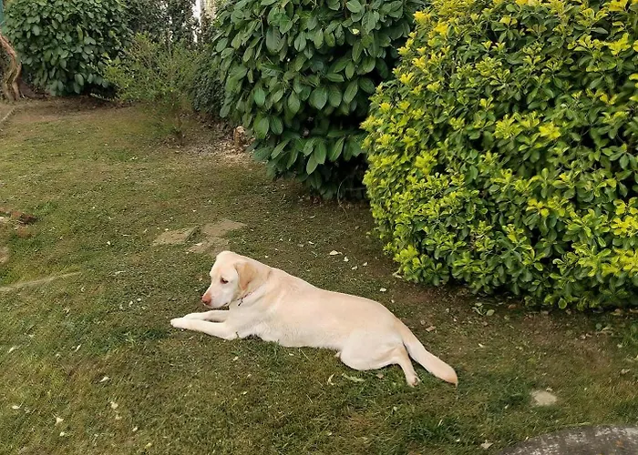 Casa Di Bimba *